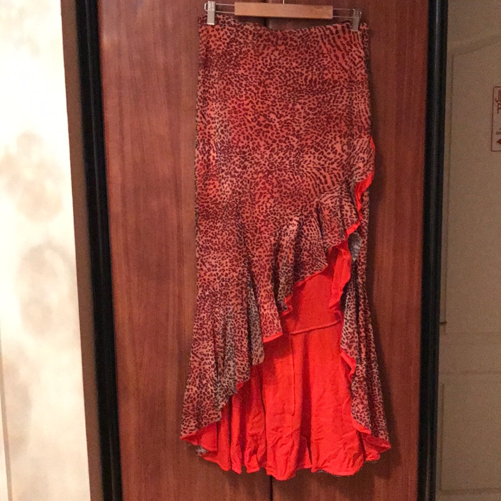 Skirt with shirt